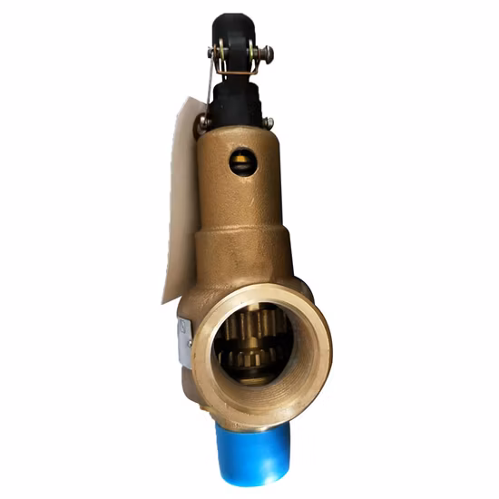 High Quality Air Compressor Pressure Relief Valve 88290005-479 Safety Valve